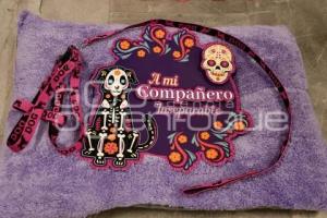 CONGRESO . OFRENDA DE MASCOTAS