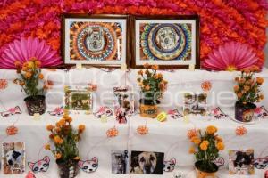 CONGRESO . OFRENDA DE MASCOTAS