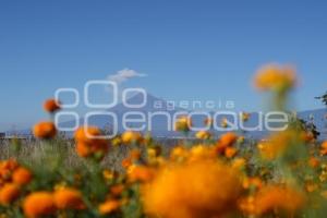 TLAXCALA . VOLCÁN POPOCATÉPETL