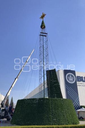 BUAP . ÁRBOL NAVIDEÑO