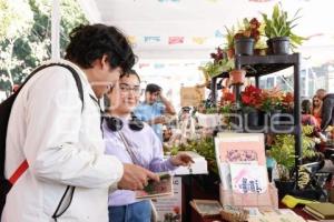 AYUNTAMIENTO . GUATEQUE POR LA PAZ