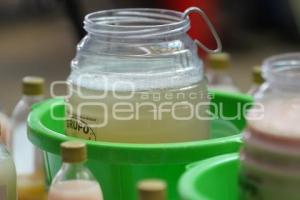 TLAXCALA . PARLAMENTO DE TLACHIQUEROS