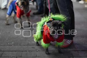 TLAXCALA . DESFILE NAVIDEÑO