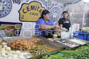 VENDIMIA . VIRGEN DE LA CONCEPCIÓN