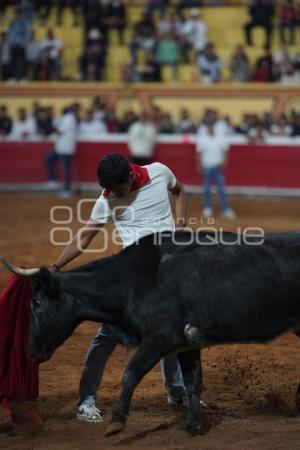 TLAXCALA . SUELTA DE VAQUILLAS