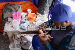 MERCADO . NIÑO DIOS