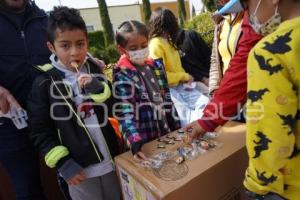 TLAXCALA . COLECCIONISTAS FIGURAS VUALÁ