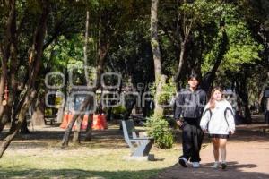 CABLEBÚS . ÁRBOLES