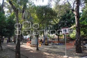 CABLEBÚS . ÁRBOLES