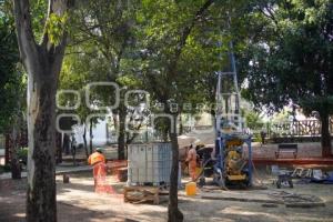 CABLEBÚS . ÁRBOLES