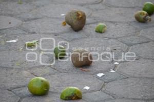 HUAQUECHULA . CARNAVAL SAN JUAN HUILUCO