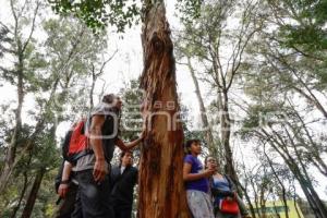 PARQUE JUÁREZ . AMBIENTALISTAS