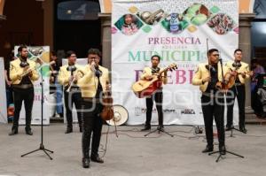 CULTURA . PRESENCIA DE MUNICIPIOS