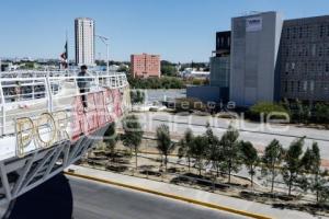 CIS . REFORESTACIÓN