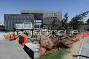 CIS . REFORESTACIÓN