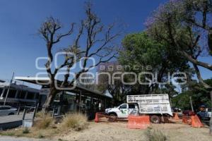 CABLEBÚS . TORRE NIÑOS HÉROES