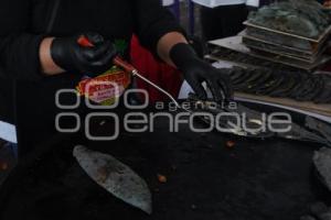 TLAXCALA . FERIA DE LA QUESADILLA