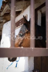 TLAXCALA . HACIENDA SAN NICOLÁS