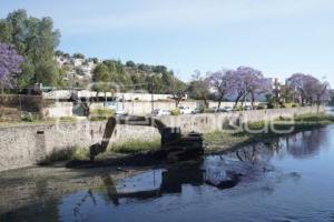 TLAXCALA . JORNADA DE LIMPIEZA RIO ATOYAC