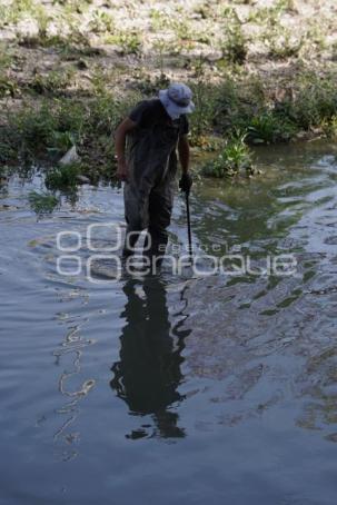 TLAXCALA . JORNADA DE LIMPIEZA RIO ATOYAC